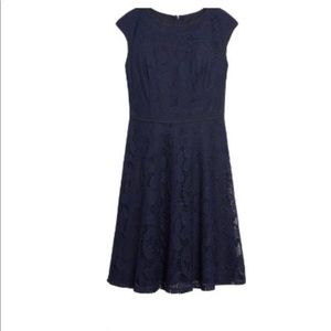 Wisp Leah Lace Knit Dress in Navy Blue